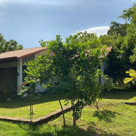Nature Resort Polonnaruwa Eksteriør billede