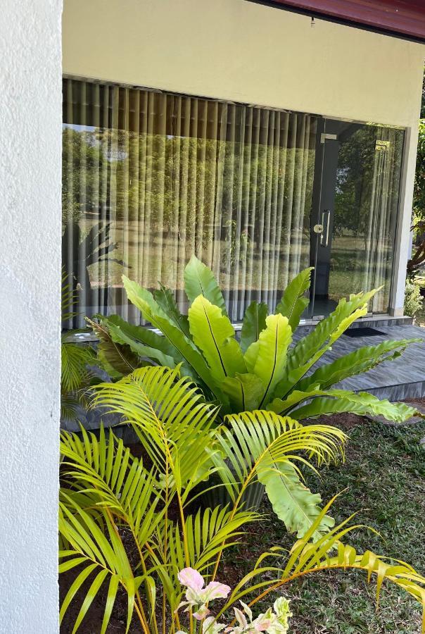 Nature Resort Polonnaruwa Eksteriør billede
