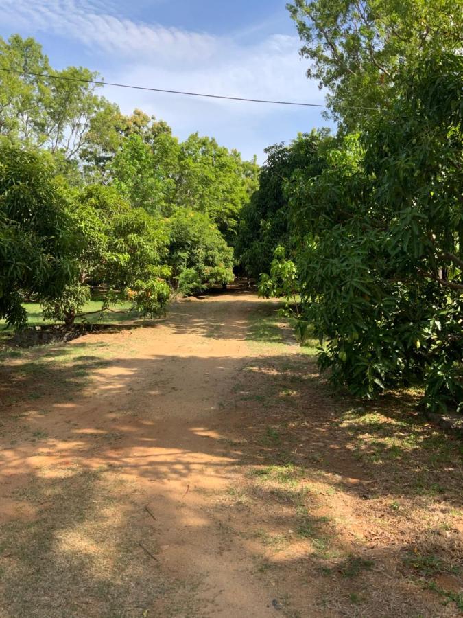 Nature Resort Polonnaruwa Eksteriør billede