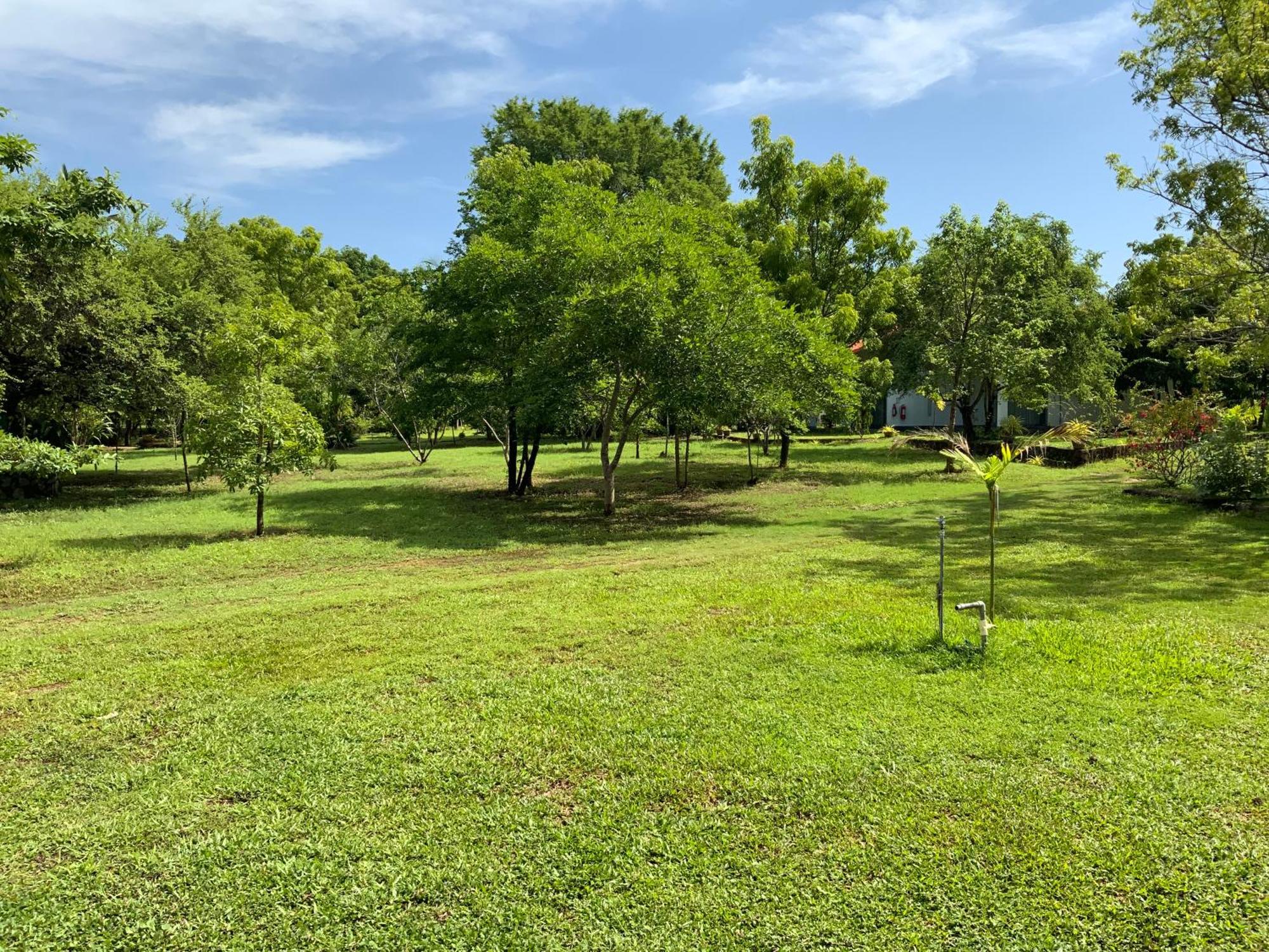 Nature Resort Polonnaruwa Eksteriør billede