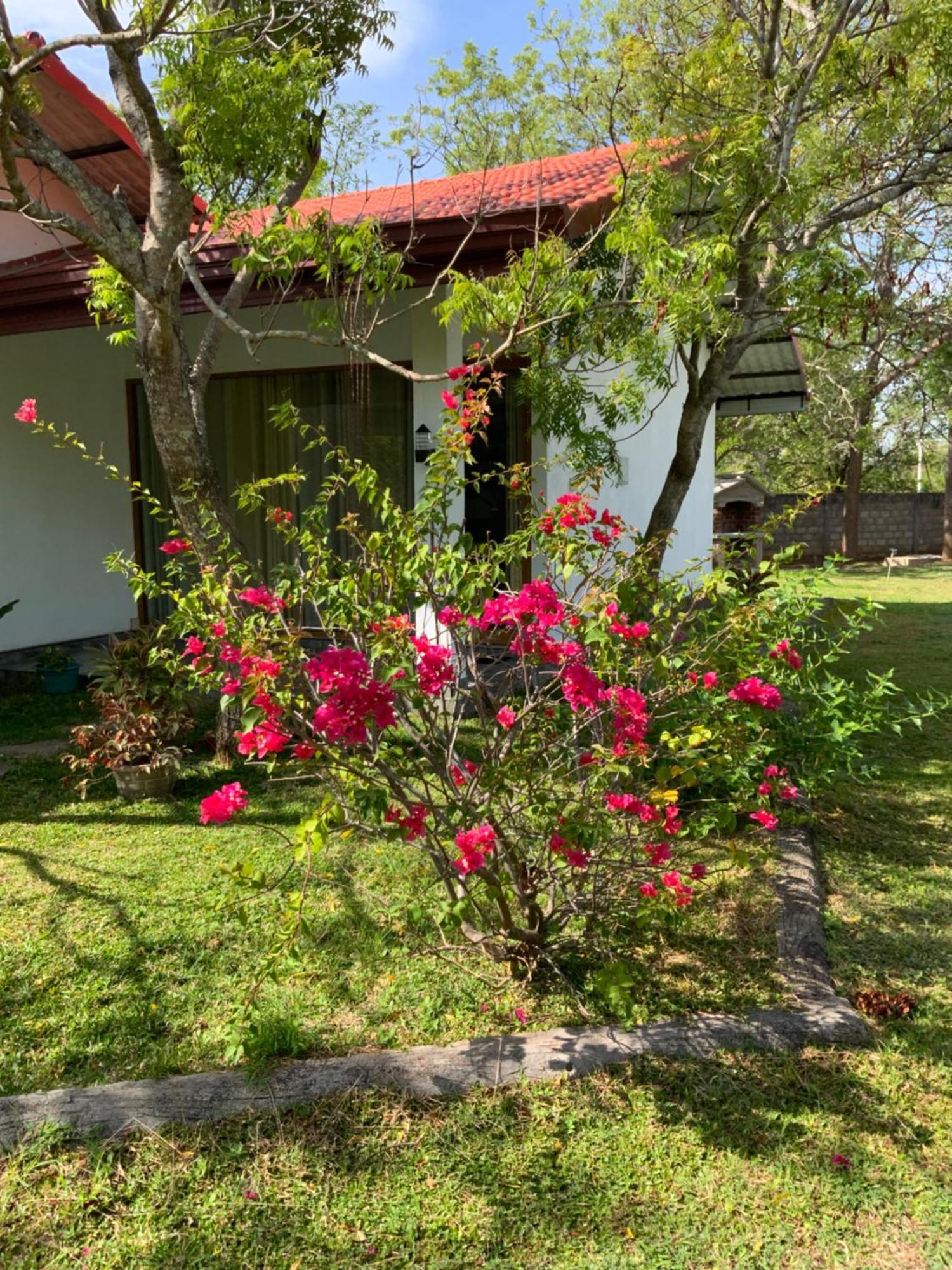Nature Resort Polonnaruwa Eksteriør billede