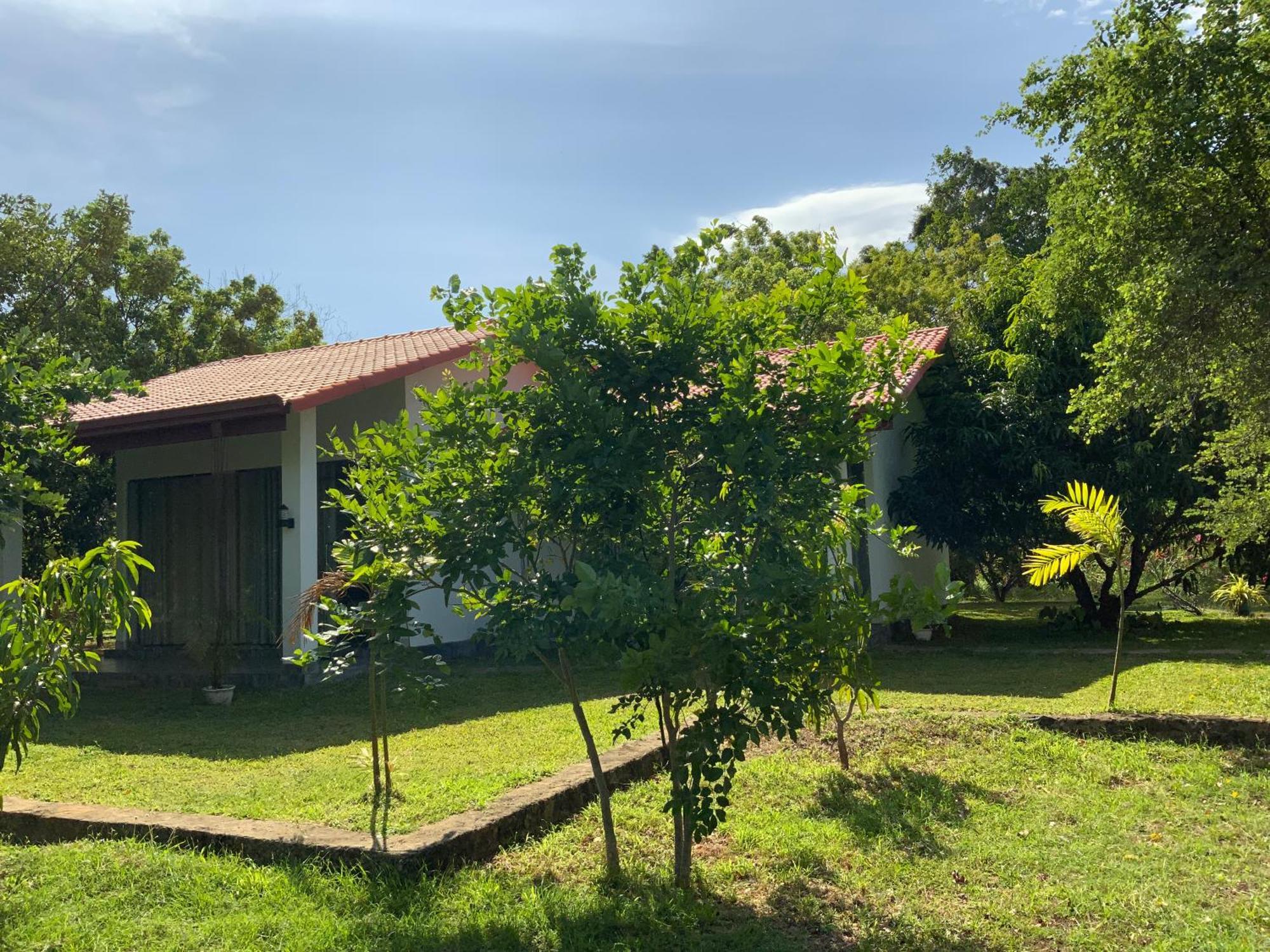 Nature Resort Polonnaruwa Eksteriør billede