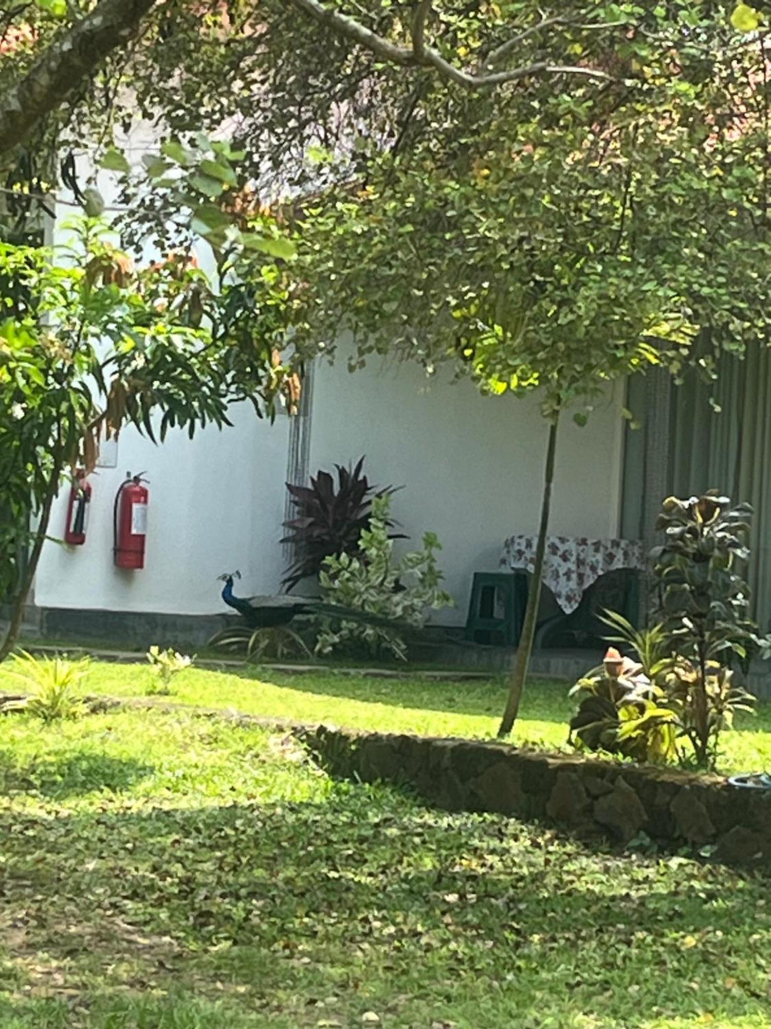 Nature Resort Polonnaruwa Eksteriør billede